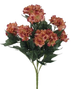 #56226ROS 22" Promo Hydrangea Bush x 7 Rosewood