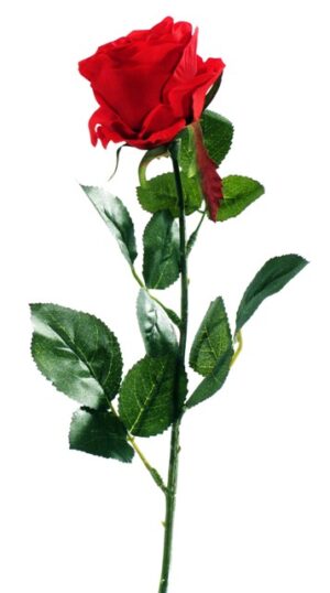 30156 -64cm Rose Spray - Red Webb's stock #11550