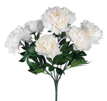 #11883WT - 20" Bartzilla Peony x 7 - White