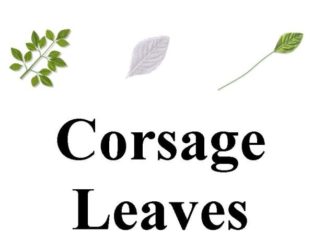 Corsage Leaves