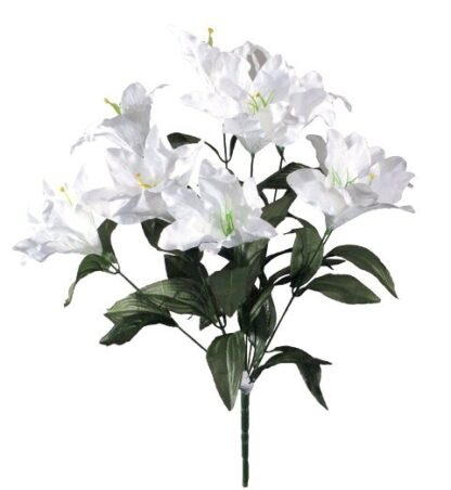 #57763SW - 22" Day Lily Bush x 9 - Snow White