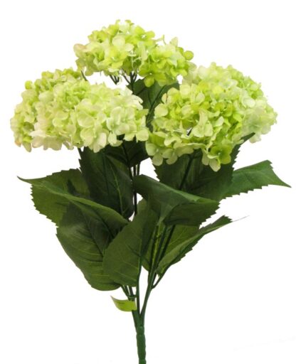 #30334GN - 19" Hydrangea Bush x 5 - Green