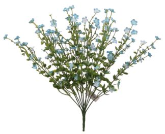 #12091SKY -18" Forget Me Not Bush x 11 - Sky - Webb's Stock #15314