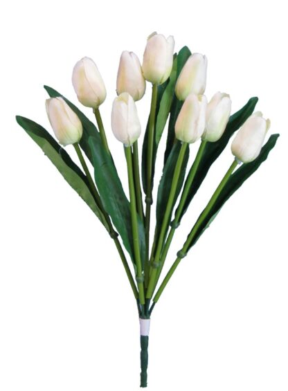 #SB2375CRM - 16" Tulip Bush x 9 - Cream