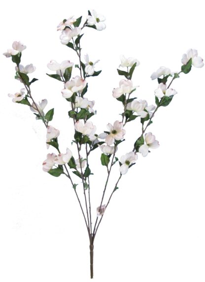 #42664WT - 28" Natural Dogwood Bush