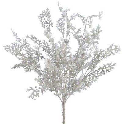 #03071NT -Dusty Miller Bush x9 Natural