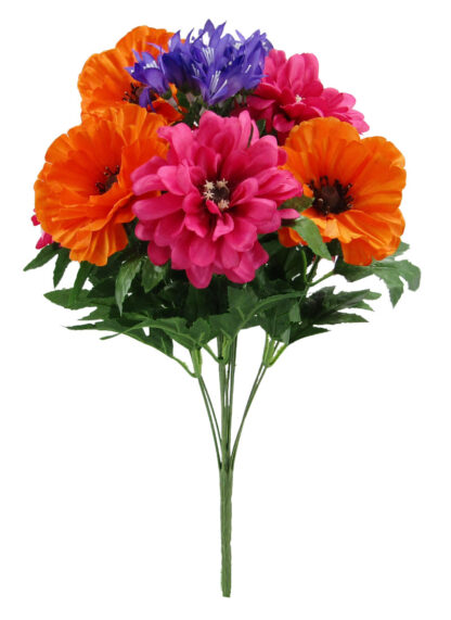 #12247SM -19" Mixed Poppy/Zinnia Bush x12 {Spring Mix}